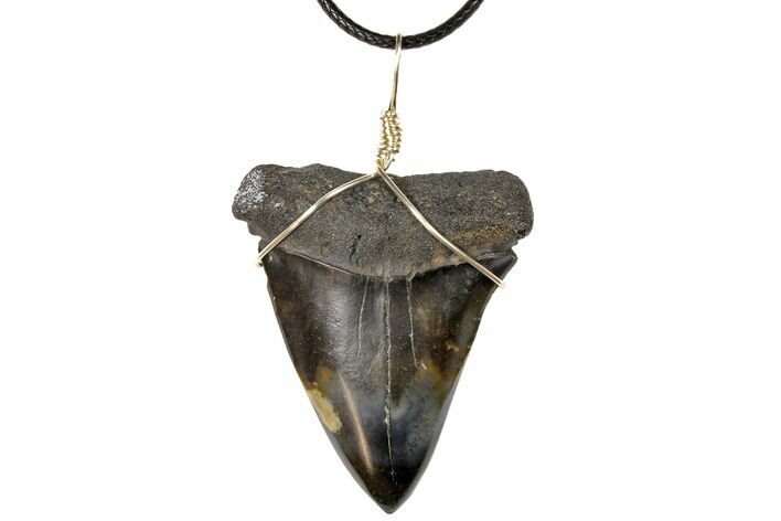 Fossil Mako Shark Tooth Necklace #130912